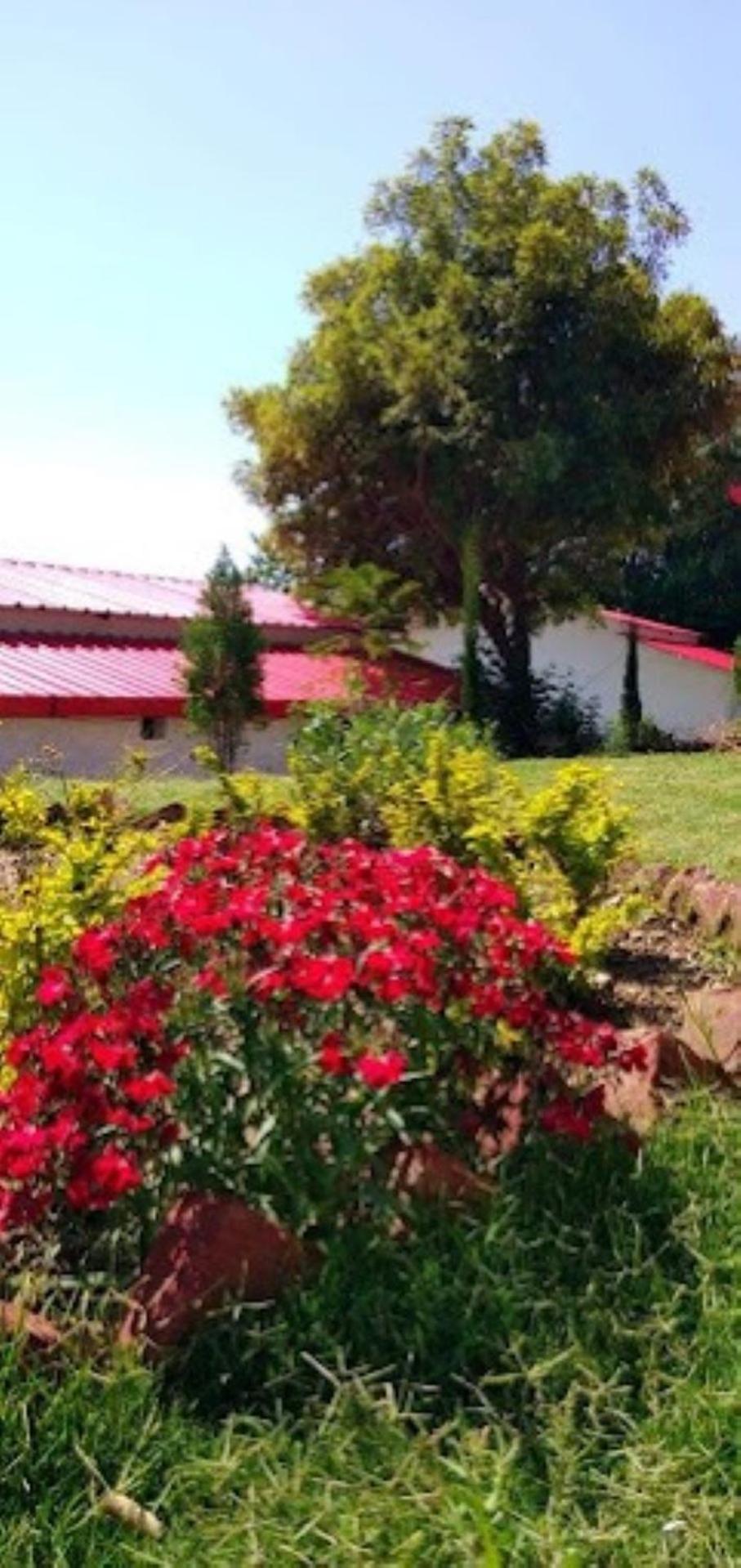 The Village Retreat Resort , Guptkashi Gupta Kāshi エクステリア 写真